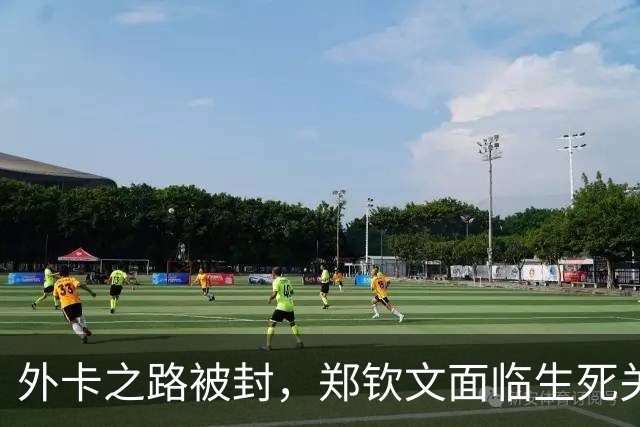 外卡之路被封，郑钦文面临生死关头：中网失利将导致武网资格作废？